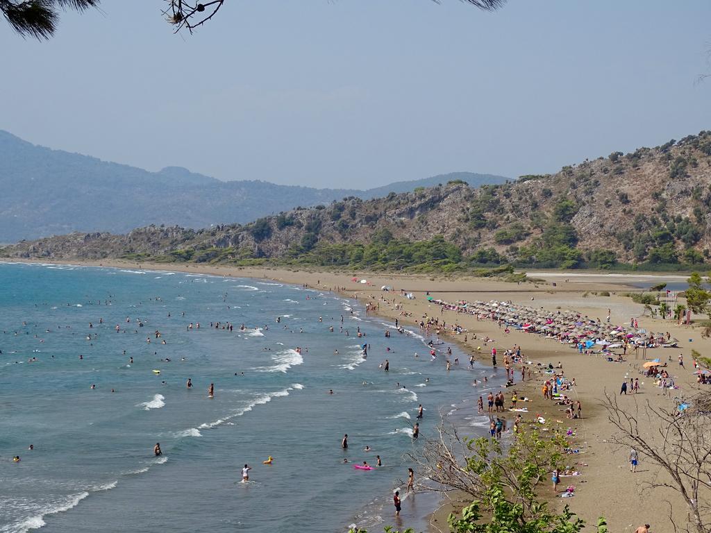 Mavikosk Aparthotel Dalyan Rum bild